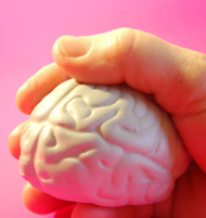craniopuntura e sua relação com o cérebro